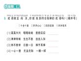 小学数学新北师大版一年级下册综合实践 设计教室装饰图第3课时  装饰图展示会作业课件（2025春）