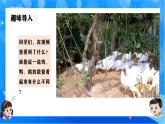 北师大版一年级下册数学第四单元5《小小养殖场》课件+教案