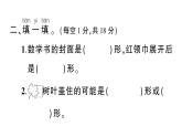 小學(xué)數(shù)學(xué)新西師版一年級下冊第二單元綜合訓(xùn)練作業(yè)課件2025春