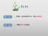 北师大版数学二年级下册 5.6《算得对吗》课件PPT