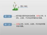 北師大版數(shù)學(xué)二年級下冊 6.5《欣賞與設(shè)計》課件PPT