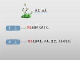 北師大版數(shù)學(xué)二年級下冊 8.1《評選吉祥物》課件PPT