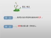 北師大版數(shù)學(xué)三年級(jí)下冊(cè) 1.1《分桃子》課件PPT