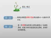 北師大版數(shù)學(xué)三年級下冊 1.2《分橘子》課件PPT