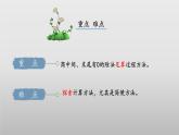 北師大版數(shù)學(xué)三年級下冊 1.4《猴子的煩惱》課件PPT