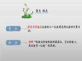 北師大版數(shù)學三年級下冊 1.6《集郵》課件PPT