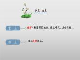 北師大版數(shù)學(xué)三年級(jí)下冊(cè) 2.1《軸對(duì)稱（一）》課件PPT