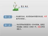 北師大版數(shù)學三年級下冊 2.2《軸對稱（二）》課件PPT