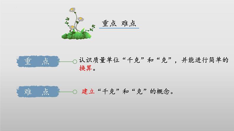 北师大版数学三年级下册 4.1《有多重》课件PPT第3页