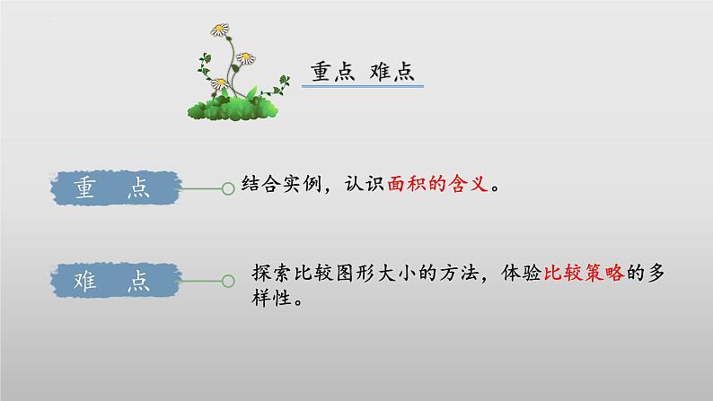 北师大版数学三年级下册 5.1《什么是面积》课件PPT第3页