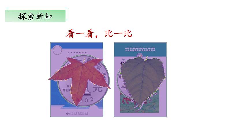 北师大版数学三年级下册 5.1《什么是面积》课件PPT第5页