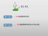 北師大版數(shù)學(xué)三年級下冊 7.1《小小鞋店》課件PPT