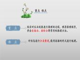 北師大版數(shù)學(xué)三年級(jí)下冊(cè) 數(shù)學(xué)好玩《有趣的推理》課件PPT