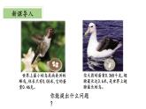 北师大版数学四年级下册 1.1《小数的意义（一）》课件PPT