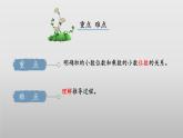 北师大版数学四年级下册 3.3《街心广场》课件PPT
