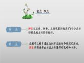 北师大版数学四年级下册 4.2《我说你搭》课件PPT