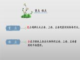 北师大版数学四年级下册 4.1《看一看》课件PPT