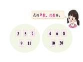 小學(xué)數(shù)學(xué)新西師版一年級下冊第五單元第二課時 分類(2)教學(xué)課件2025春