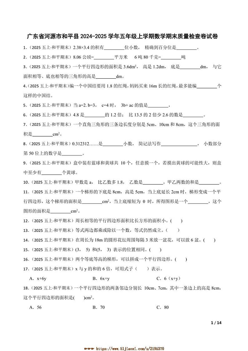 2024～2025学年广东省河源市和平县五年级上数学期末质量检查卷试卷第1页