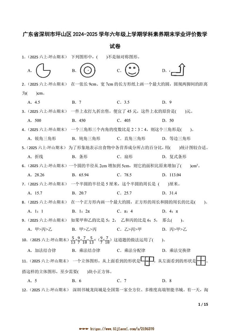 2024～2025学年广东省深圳市坪山区六年级上学科素养期末学业评价数学试卷第1页