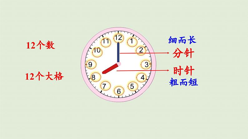 2025春数学苏教版二年级下册二时、分、秒第1课时认识时、分课件第8页