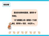 第一單元第二課時認識米(課件+教案+練習）