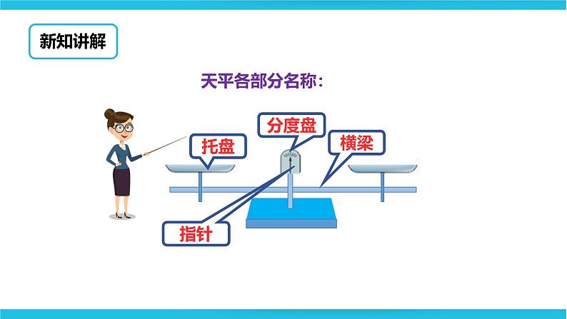 第四单元第一课时用天平比较轻重和测量物体质量课件第5页