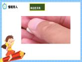 冀教版一年級(jí)數(shù)學(xué)下冊(cè)第三單元8《數(shù)的大小比較-海邊撿貝殼》課件+教學(xué)設(shè)計(jì)