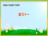 蘇教版六年級(jí)數(shù)學(xué)下冊第6單元第5課《練習(xí)十一》課件