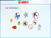青島版（五四學(xué)制）（2024）一年級數(shù)學(xué)下冊 5.2分類（課件）