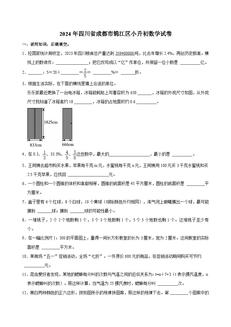 2024年四川省成都市锦江区小升初数学试卷第1页