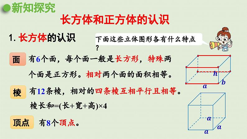 2025春数学西师大版六年级下册五总复习第11课时立体图形课件第5页