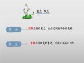 北师大版数学六年级下册 2.1《比例的认识》课件PPT