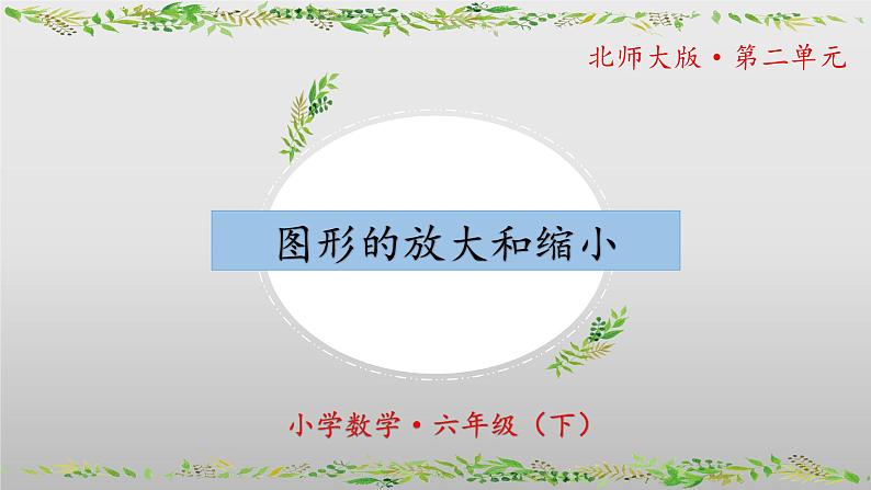 北师大版数学六年级下册 2.4《图形的放大和缩小》课件PPT第1页