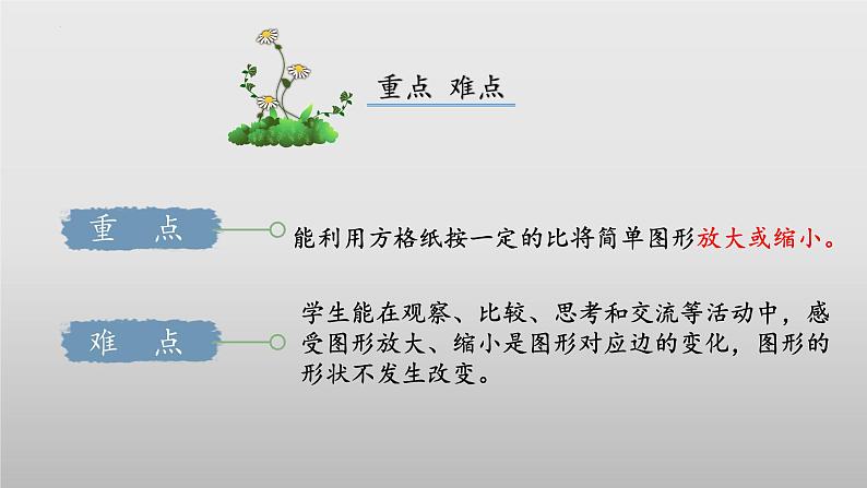 北师大版数学六年级下册 2.4《图形的放大和缩小》课件PPT第3页