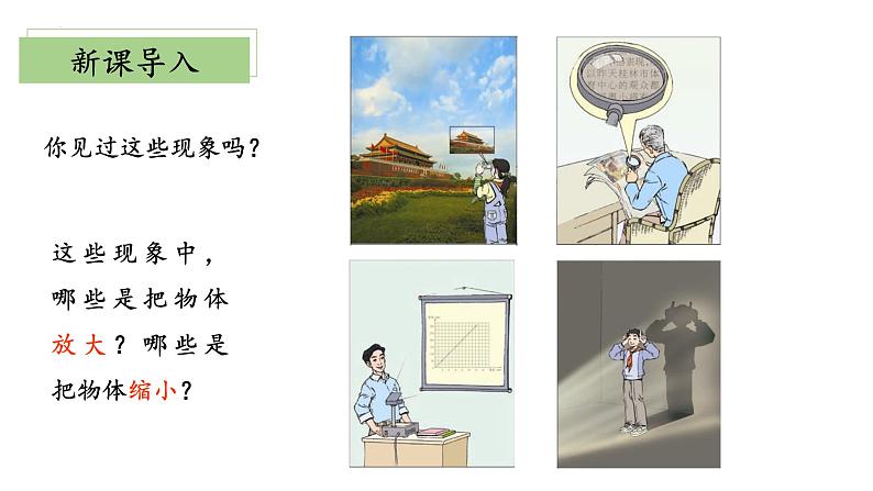 北师大版数学六年级下册 2.4《图形的放大和缩小》课件PPT第4页