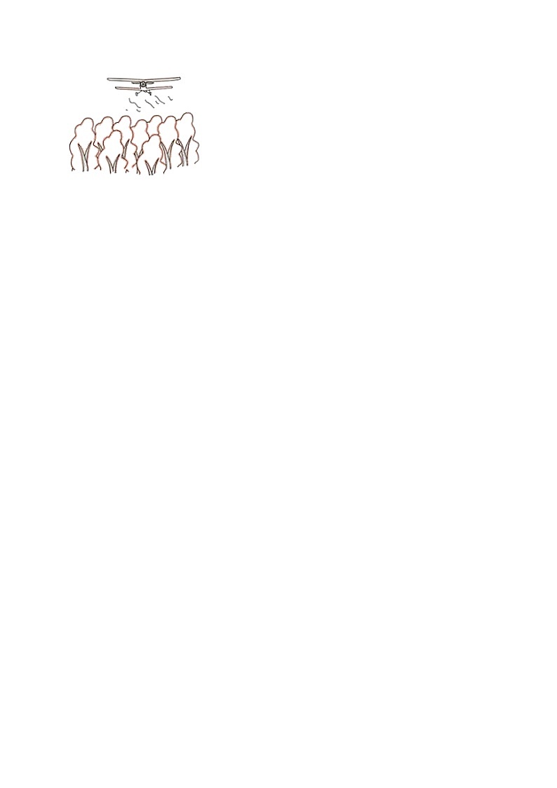 5.5解方程（二）（中等作业）2024--2025学年四年级下册数学 北师大版第2页