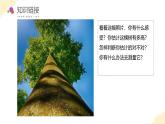 【新課標(biāo)】蘇教版數(shù)學(xué)六年級(jí)下冊 6.4《大樹有多高》課件+教案（含反思）