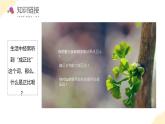 【新課標(biāo)】蘇教版數(shù)學(xué)六年級(jí)下冊 6.1《正比例的意義》課件+教案（含反思）