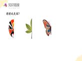 【新课标】人教版数学四年级下册 7.1《轴对称》课件+教案
