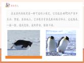 【核心素養(yǎng)優(yōu)質(zhì)課】冀教版數(shù)學(xué)一年級(jí)下冊(cè)3.1.1《100以內(nèi)的數(shù) 》（教學(xué)課件+同步教案+單元整體教學(xué)設(shè)計(jì)）
