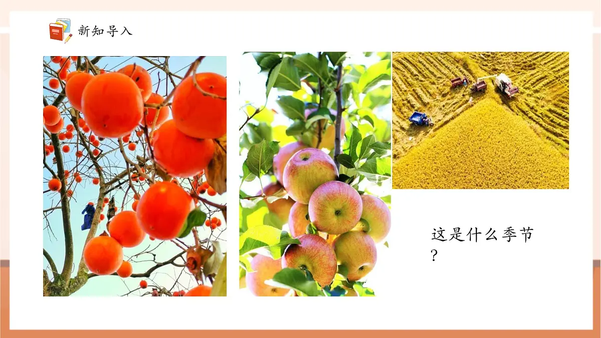 青岛版一下2.1《两位数的认识》（课件）第4页