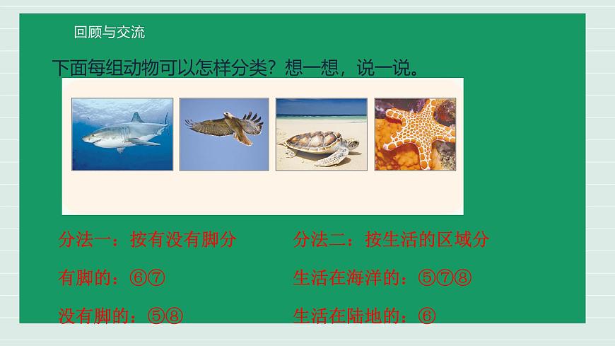 第3课时 统计与概率 课件 小学数学一年级上册北师大版（2024）（19页）第7页