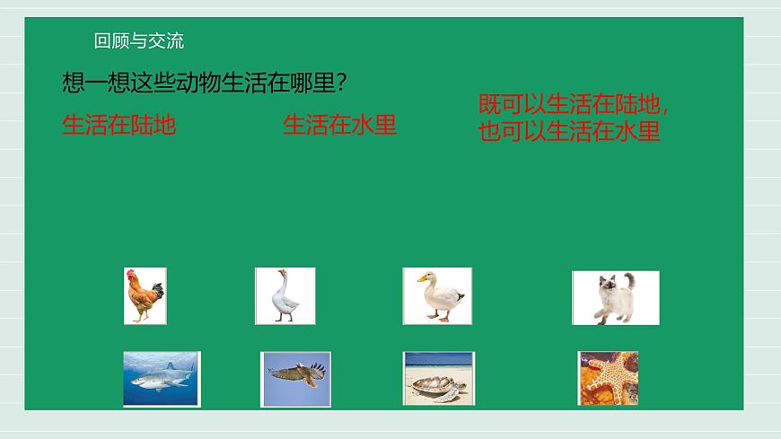 第3课时 统计与概率 课件 小学数学一年级上册北师大版（2024）（19页）第8页