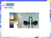 青島版（2024）數(shù)學(xué)五上 2.1 《軸對(duì)稱圖形》 課件