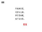 身邊的數(shù) 課件 數(shù)學(xué)北師大版（2024）一年級(jí)下冊(cè)
