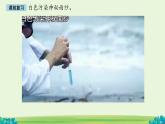 回收廢品 課件 數(shù)學(xué)北師大版（2024）一年級(jí)下冊(cè)