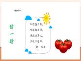 【新教材核心素養(yǎng)】蘇教版數(shù)學(xué)一年級下冊4.4《50有多大——抓抓數(shù)數(shù)》（課件+同步教案+單元整體教學(xué)設(shè)計(jì)）
