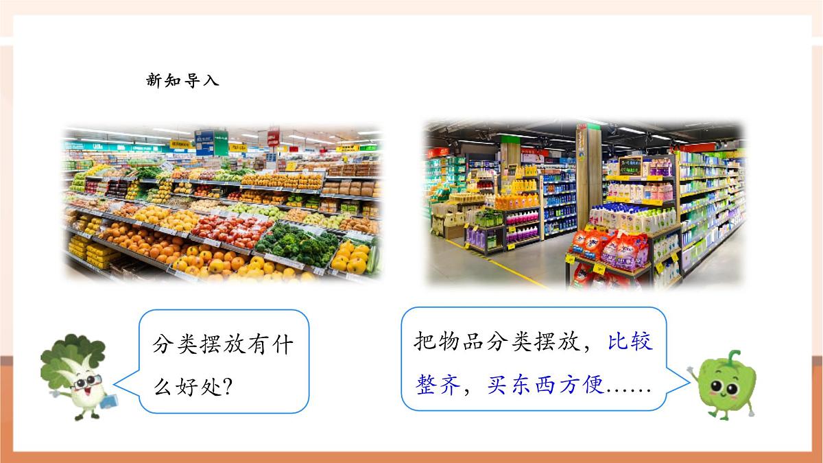 苏教版新版一下3.1《按标准进行分类》（课件）第5页