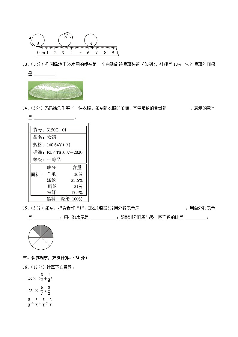 2024-2025学年山东省枣庄市山亭区六年级（上）期末数学试卷第3页